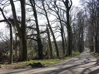 Steenen Tafel