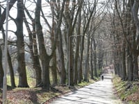 Steenen Tafel