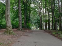 Steenen Tafel