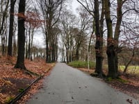 Steenen Tafel