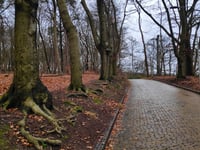 Steenen Tafel