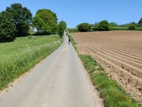 Steenhoutberg da Vollezele via Rensbergstraat
