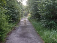 Steimeckeweg von Elkeringhausen