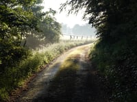 Steimeckeweg von Elkeringhausen