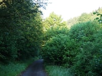 Steimeckeweg von Elkeringhausen