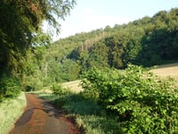 Steimeckeweg von Elkeringhausen