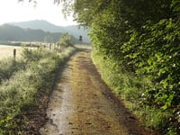 Steimeckeweg von Elkeringhausen