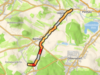 Steinbusch von Hörnitz