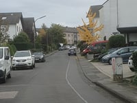 Steingasser Bahn desde Alfter