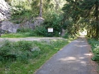 Steinkühle