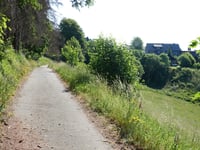 Steinkühle