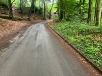Kahler Berg über Handal