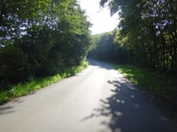 Kahler Berg über Handal
