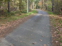Stelebos über Broekmolenweg