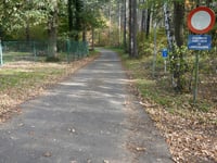 Stelebos über Broekmolenweg