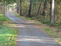 Stelebos über Broekmolenweg