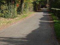 Stelebos über Broekmolenweg