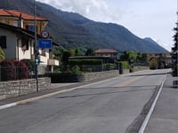 Stella d'Oro
