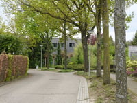 Steve Bikostraat