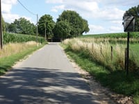 Steyvenhofstraat von Bree