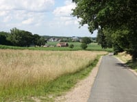 Steyvenhofstraat von Bree