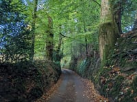 Stockham Hill from Dulverton