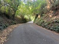 Stoke Hill Road von Stoke Hill