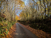 Stolford Hill