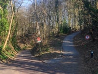 Hanenberg über Hengstberg