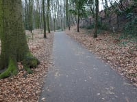 Hanenberg über Hengstberg