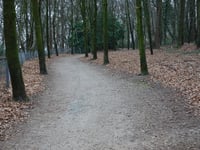 Hanenberg über Hengstberg