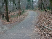 Hanenberg über Hengstberg