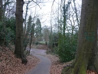 Hanenberg über Hengstberg