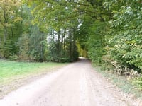 Storeknøs por Julsøvej