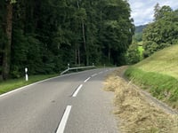 Stoss from Altstätten