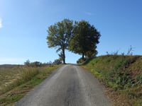 Strada Bora Piavola von Bora