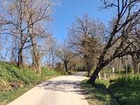 Strada Ceppareto depuis Fratta Terme