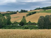 Strada della Rosetta von Castello