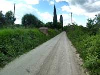 Strada di Colle Pinzuto / Settore Tadej Pogačar