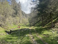 Strada di Dalico von Chiuro