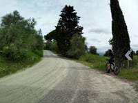 Strada di Montechiaro von Vico d'Arbio