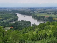 Strada Pontestura