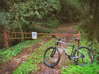 Strada Provinciale Ninfina von Valvisciolo