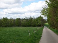 Strauch über Breufeldstrasse