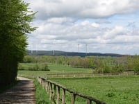 Strauch von Tiefental