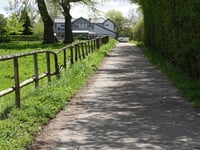 Strauch von Tiefental