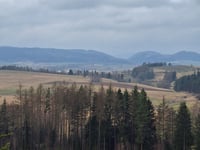 Strażnicze Naroże da Mieroszów