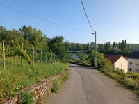 Stromberg von Contz-les-Bains über Chemin de la Moselle
