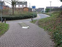 Struweel via Dorpstraat