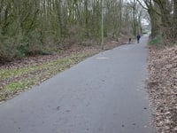 Struweel via Dorpstraat